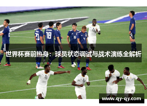 世界杯赛前热身：球员状态调试与战术演练全解析