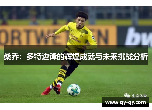 桑乔：多特边锋的辉煌成就与未来挑战分析