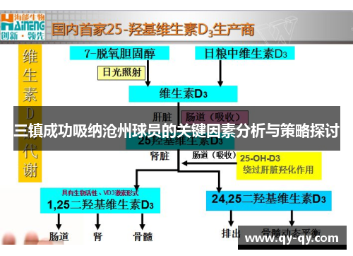 三镇成功吸纳沧州球员的关键因素分析与策略探讨
