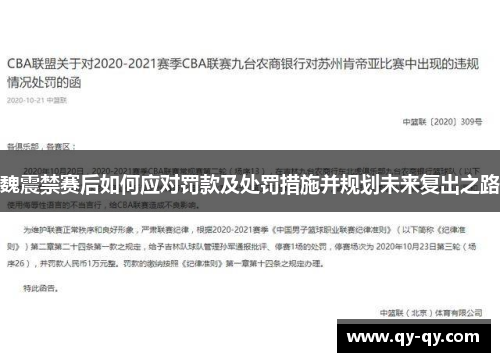 魏震禁赛后如何应对罚款及处罚措施并规划未来复出之路
