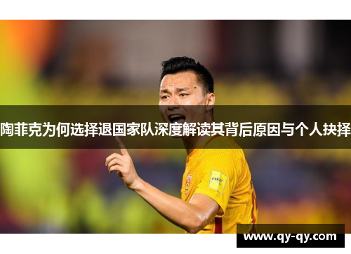陶菲克为何选择退国家队深度解读其背后原因与个人抉择